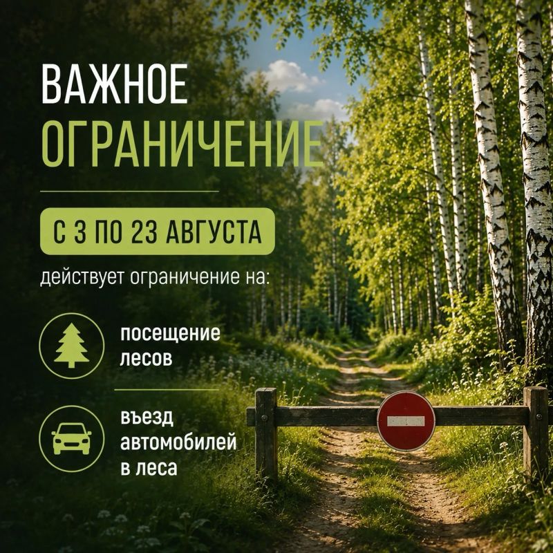 Особый противопожарный режим продолжается в Липецкой области Особый противопожарный режим продолжается в Липецкой области