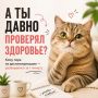 Когда ничего не болит, проверку здоровья проще всего отложить на потом