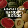 ���������� �������� � ������ ����� ���������