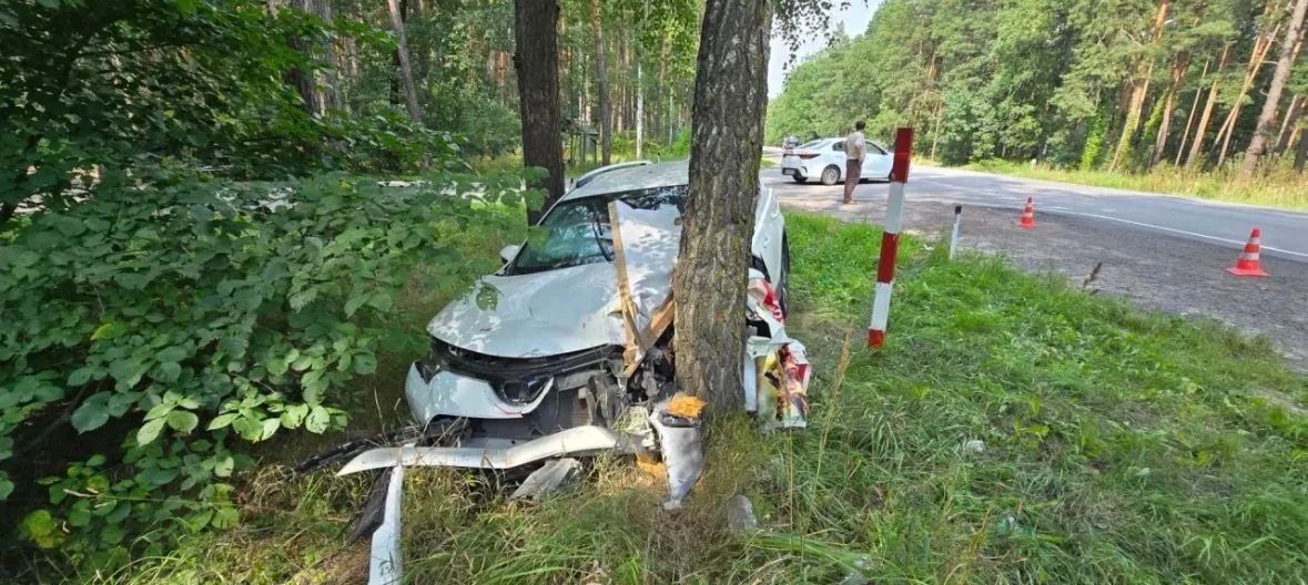Врезалась в дерево на «Тойоте» 37-летняя автоледи в Грязинском округе на дороге «Орёл-Тамбов»