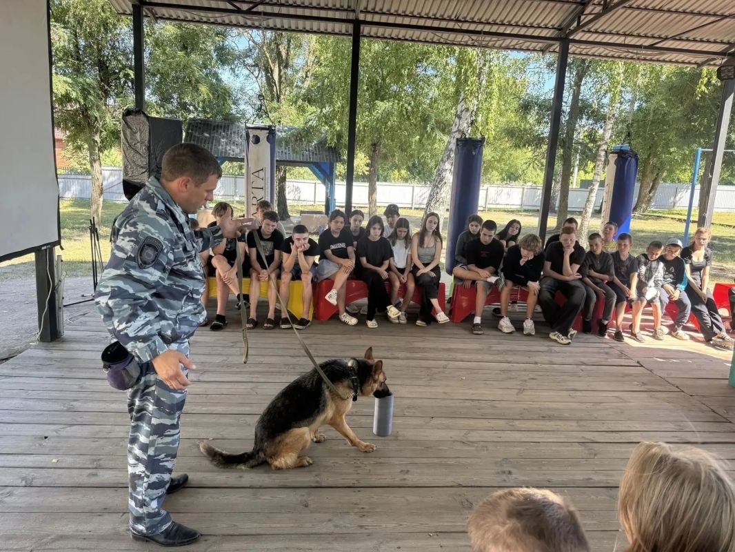 В Липецкой области отдыхающие детского лагеря познакомились с работой полицейских-кинологов и повысили правовую грамотность В Липецкой области отдыхающие детского лагеря познакомились с работой полицейских-кинологов и повысили правовую грамотность