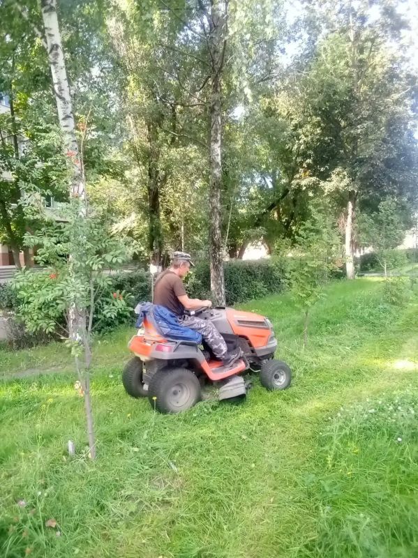 «Зеленхоз» наводит порядок на улицах Липецка «Зеленхоз» наводит порядок на улицах Липецка
