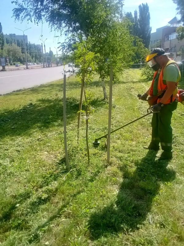 «Зеленхоз» наводит порядок на улицах Липецка «Зеленхоз» наводит порядок на улицах Липецка