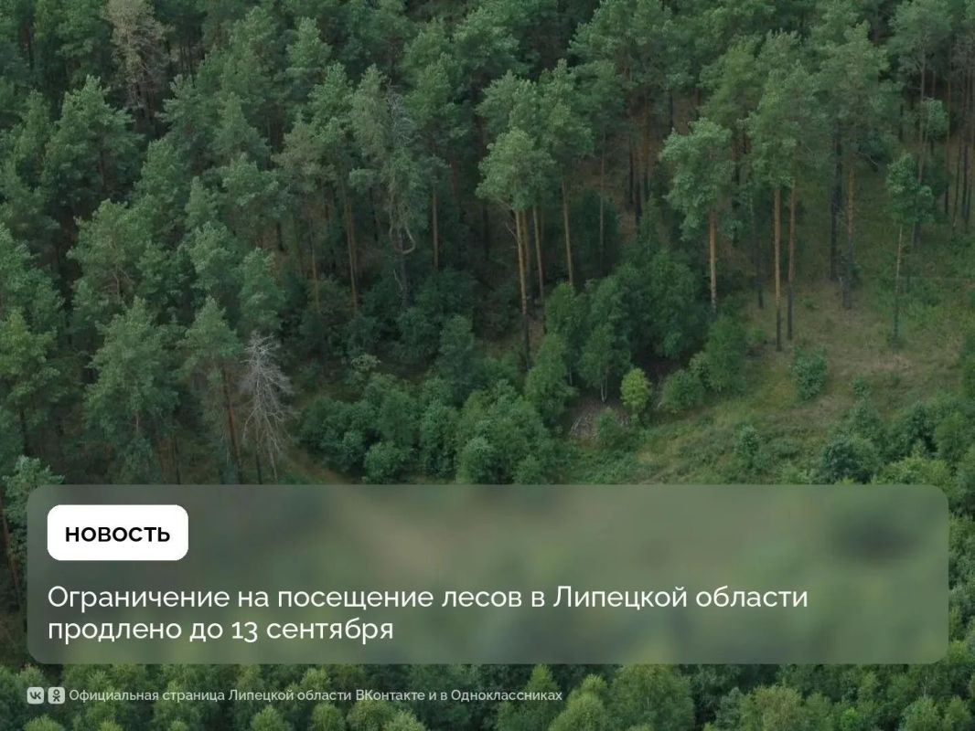 В лесах Липецкой области ограничивается пребывание граждан и въезд транспорта до 13 сентября