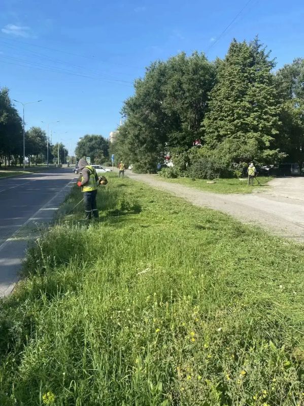 «Зеленхоз» наводит порядок на улицах Липецка