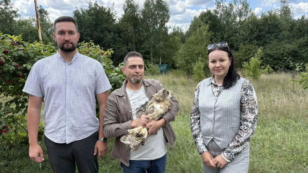 Три краснокнижных филина вернулись в природу в Липецкой области Три краснокнижных филина вернулись в природу в Липецкой области