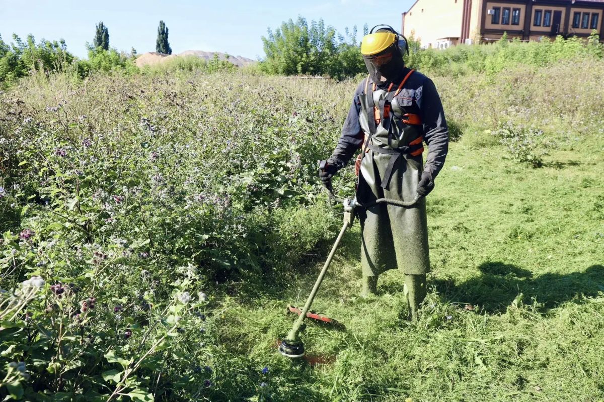 Ливнёвки и ручей Лучок планируют очистить в Ельце Ливнёвки и ручей Лучок планируют очистить в Ельце