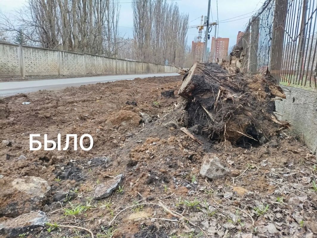 История одного обращения, которое стало общим успехом