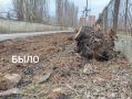История одного обращения, которое стало общим успехом