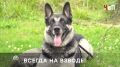������ ��������� ������ ������ ����� � �������� ������� ��������� ������� ������ �������, ������ ������ �� �����