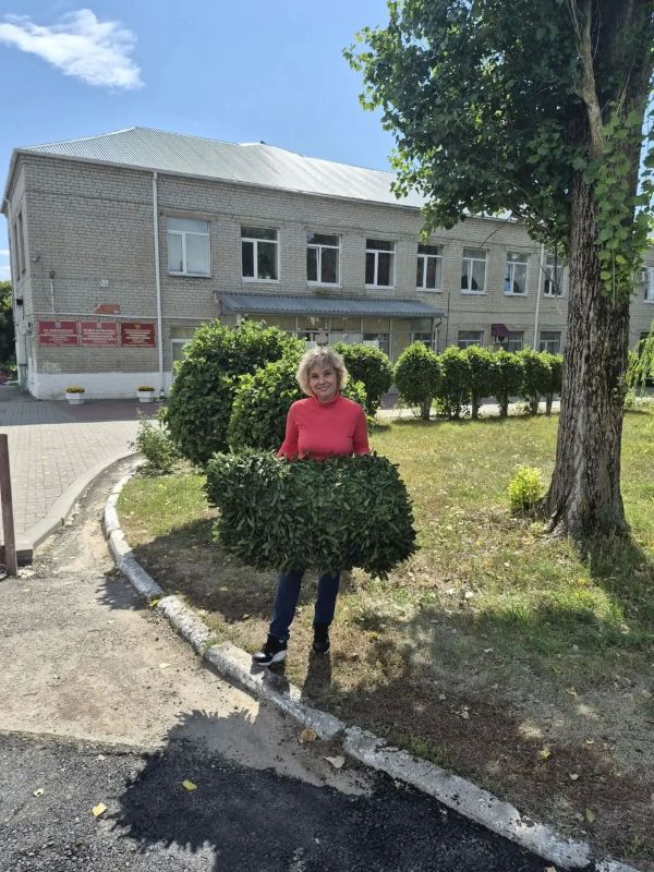 Подбор цвета, нарезка, плетение – все этапы производства масксетей показали волонтёры из Синдякино Хлевенского округа – Донские вести Подбор цвета, нарезка, плетение – все этапы производства масксетей показали волонтёры из Синдякино Хлевенского округа – Донские вести