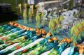 Липецкую область в финале Всероссийского марафона «Земля спорта» будут представлять 22 человека из пяти округов