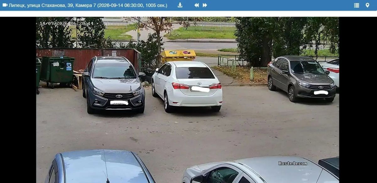 Такой фотосессии мало кто будет рад Такой фотосессии мало кто будет рад