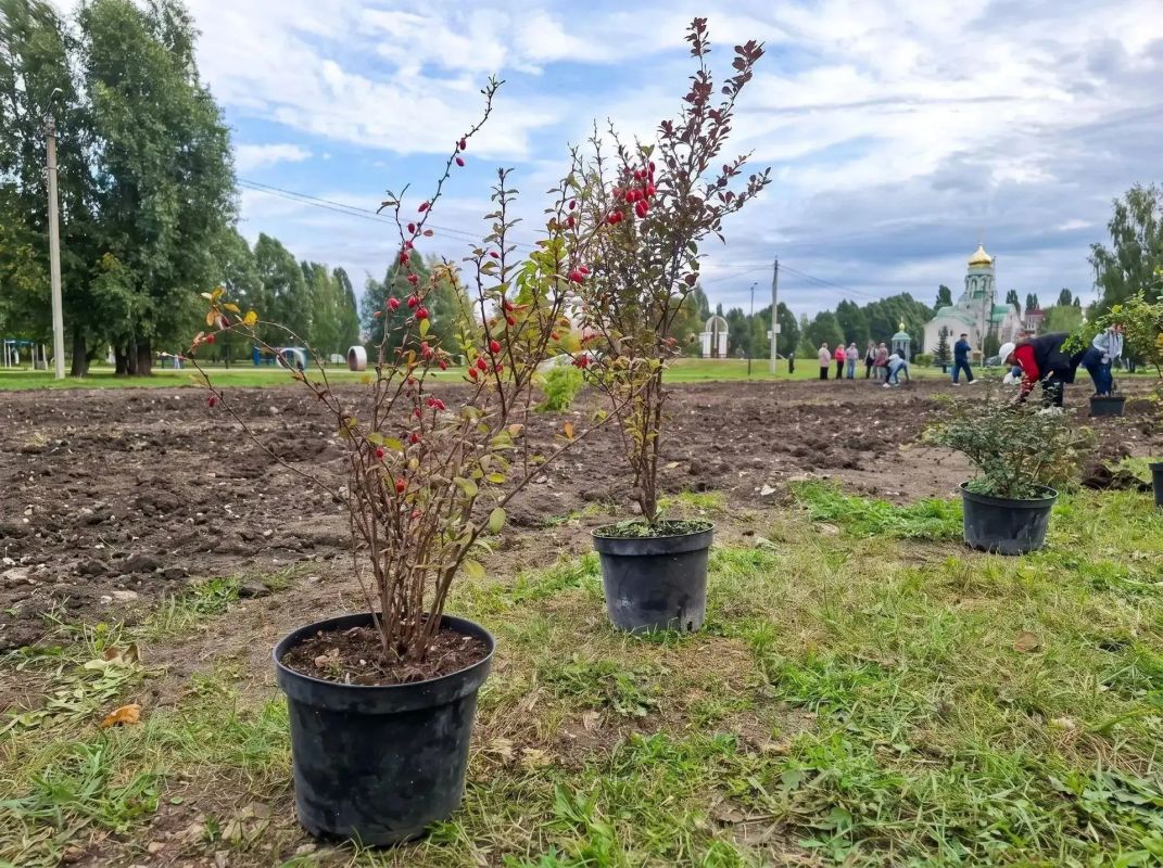 В Грязях продолжают преображать сквер 50-летия Победы В Грязях продолжают преображать сквер 50-летия Победы