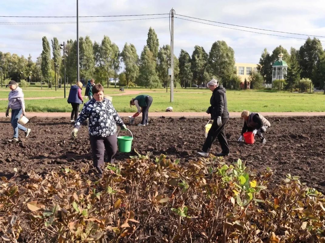 В Грязях продолжают преображать сквер 50-летия Победы