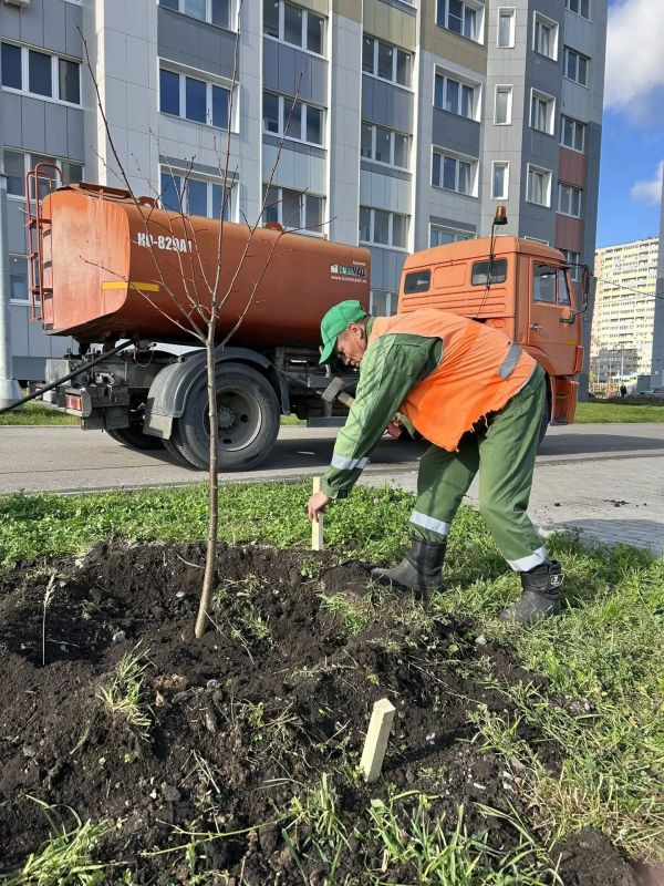 Космический Липецк обрастает липами Космический Липецк обрастает липами