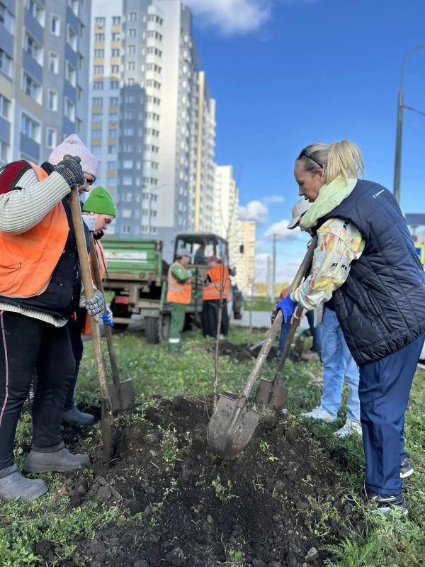 Космический Липецк обрастает липами Космический Липецк обрастает липами