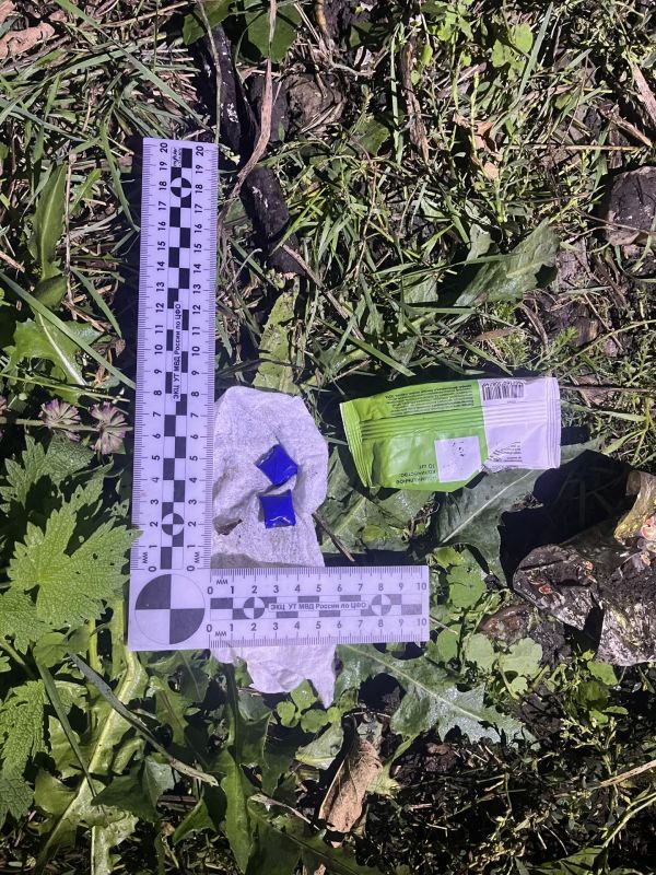 Транспортные полицейские в Ельце задержали сбытчика наркотиков Транспортные полицейские в Ельце задержали сбытчика наркотиков