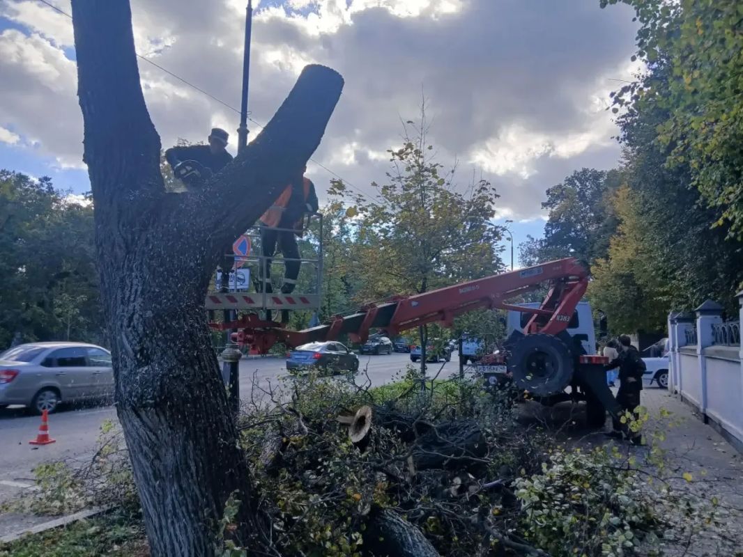 Сотрудники «Зеленхоза» приводят в порядок зеленые насаждения в Липецке Сотрудники «Зеленхоза» приводят в порядок зеленые насаждения в Липецке