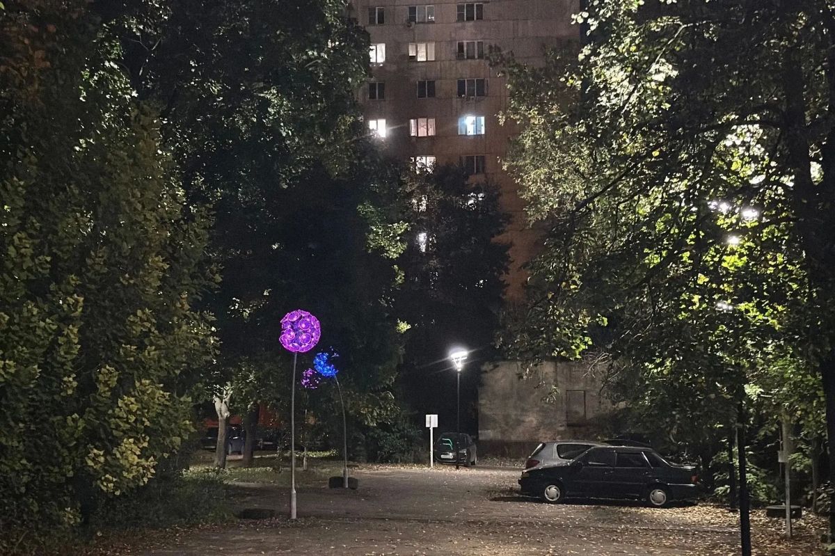 Посмотрите, как сияют одуванчики в пешеходной зоне на улице Циолковского Посмотрите, как сияют одуванчики в пешеходной зоне на улице Циолковского