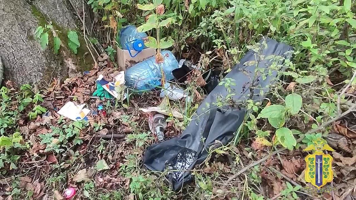Плантацию конопли обнаружили в лесу под Липецком