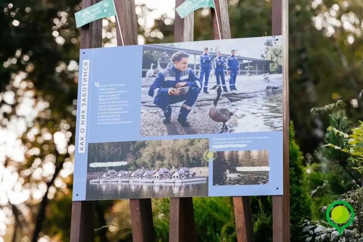 В парке «Быханов сад» открылась фотовыставка «Лебединое озеро НЛМК» В парке «Быханов сад» открылась фотовыставка «Лебединое озеро НЛМК»