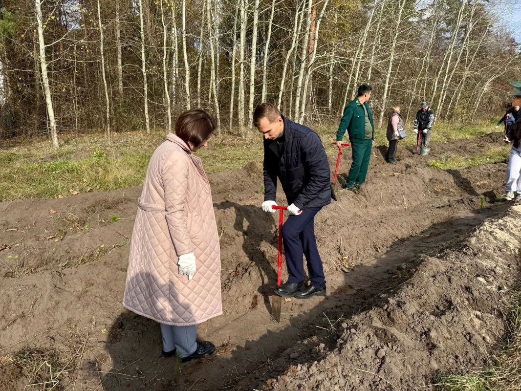 От слов к делу: пять реальных историй от депутатов за неделю От слов к делу: пять реальных историй от депутатов за неделю